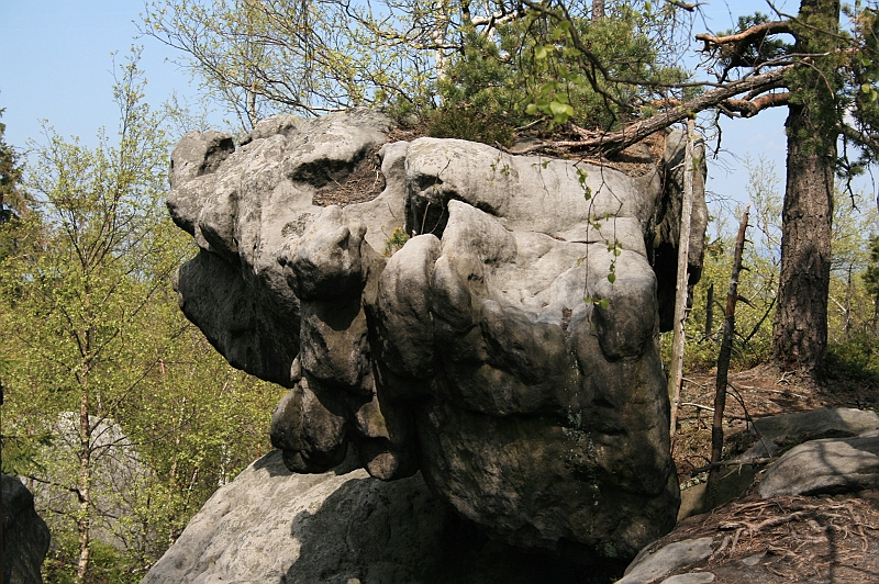 Original image